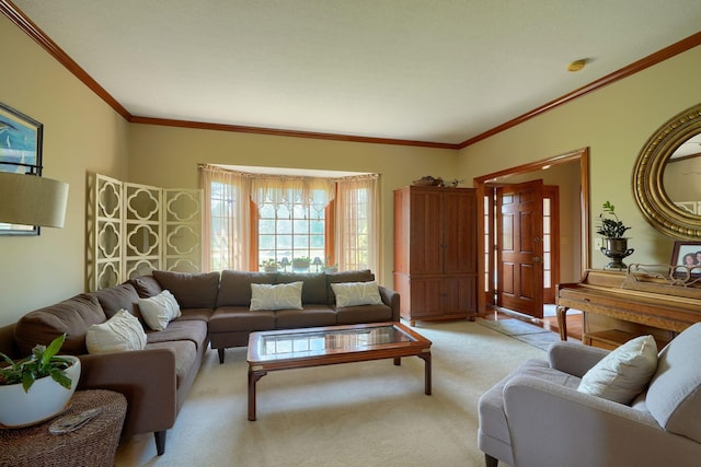 11092 Red Fox St, Canal Winchester, OH 43110 - photo 20
