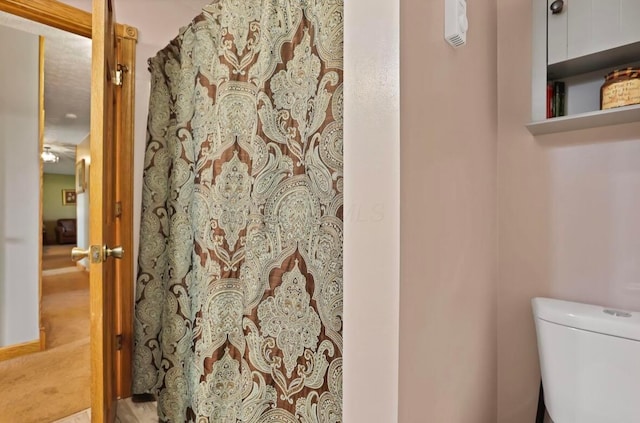 12232 Cleo Rd, Orient, OH 43146 - bathroom with toilet and a shower with curtain