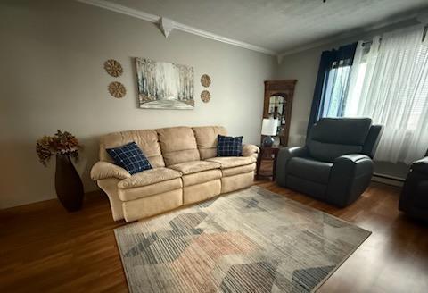 521 Kenton Galion Rd E, Marion, OH 43302 - living area featuring wood finished floors, ornamental molding, and a baseboard radiator