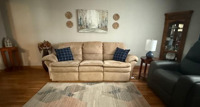 521 Kenton Galion Rd E, Marion, OH 43302 - living room featuring wood finished floors