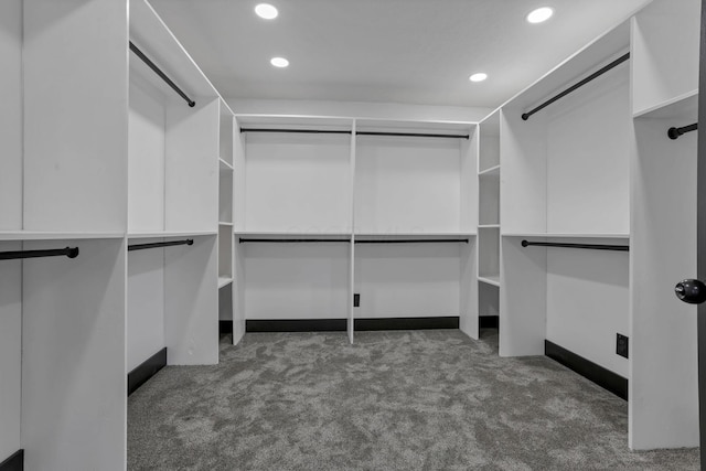 10123 Loop Rd, Millersport, OH 43046 - walk in closet with carpet floors