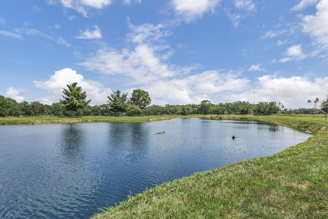 10123 Loop Rd, Millersport, OH 43046 - water view