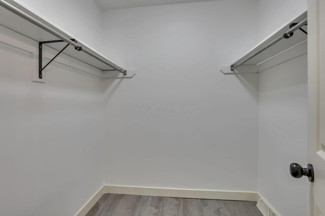 7036 White Butterfly Ln, Reynoldsburg, OH 43068 - photo 19