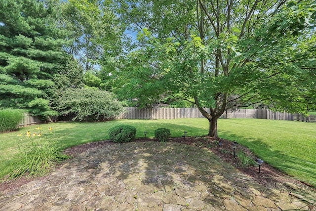 13048 Coventry Ave, Pickerington, OH 43147 - photo 36