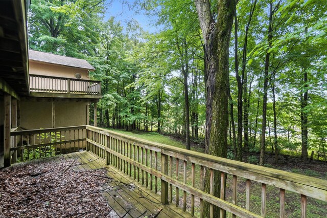 6253 Headley Heights Ct, Columbus, OH 43230 - photo 69