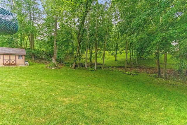 976 Hillside Dr, Newark, OH 43055 - view of green lawn featuring a shed