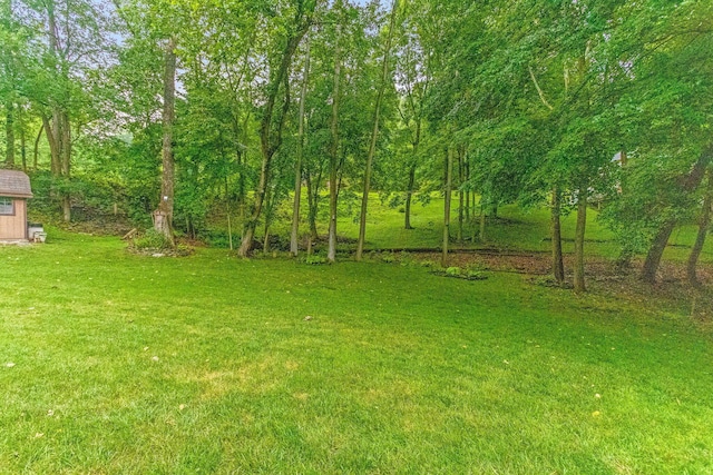976 Hillside Dr, Newark, OH 43055 - view of green lawn with a storage unit