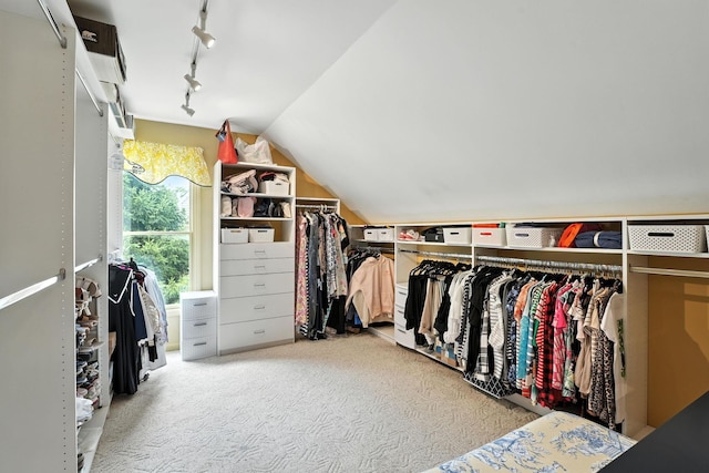 371 Ashworth Ct, Dublin, OH 43017 - spacious closet with carpet and lofted ceiling