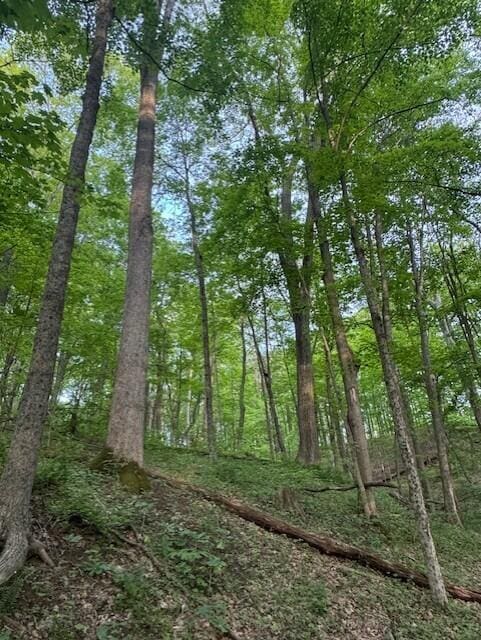 1445 E Branch Rd Unit R, Malta, OH 43758 - photo 4