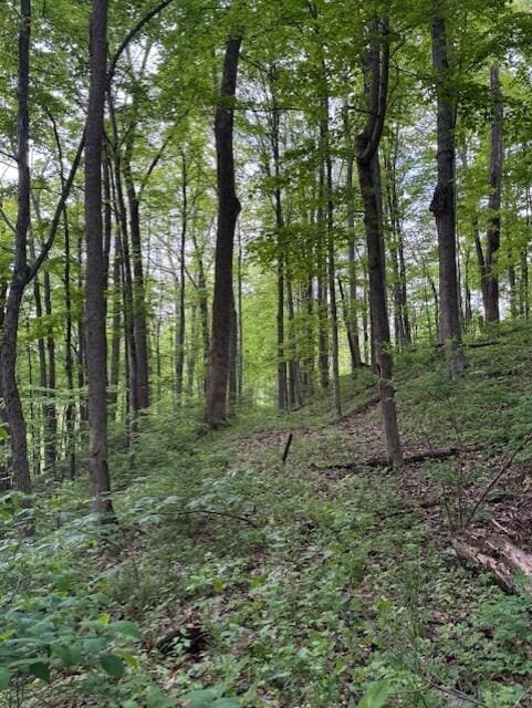 1445 E Branch Rd Unit R, Malta, OH 43758 - photo 6