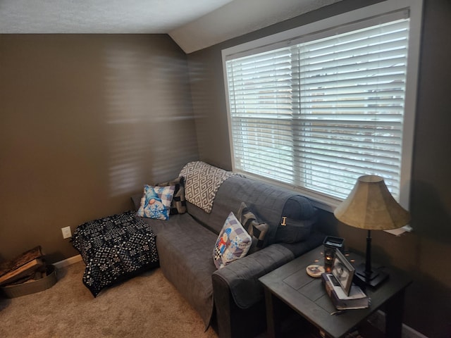 3485 Bellflower Dr, Lorain, OH 44053 - photo 70