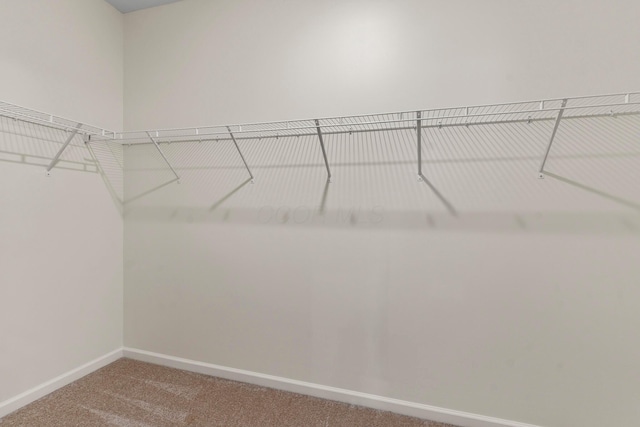 507 Curry Dr, Pataskala, OH 43062 - walk in closet with carpet