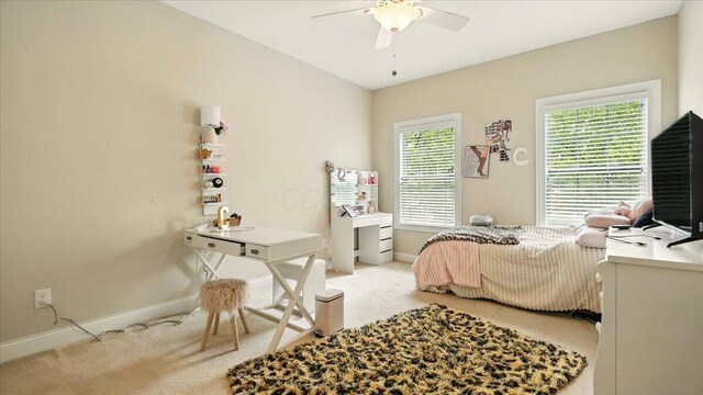 5025 Blackstone Edge Dr, New Albany, OH 43054 - photo 30