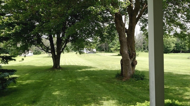 4623 York Rd SW, Pataskala, OH 43062 - photo 3