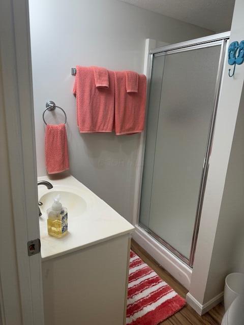 241 Chase Ave Unit B1L, Russells Point, OH 43348 - full bathroom featuring a stall shower, vanity, and wood finished floors