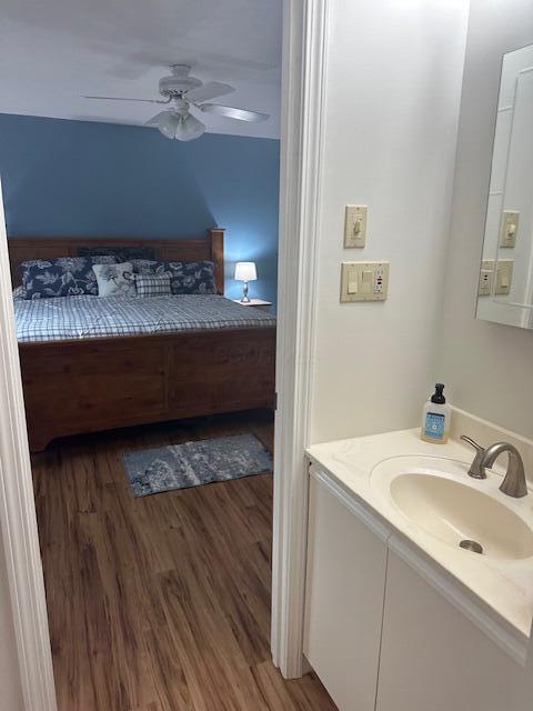 241 Chase Ave Unit B1L, Russells Point, OH 43348 - bathroom with vanity, wood finished floors, and ceiling fan