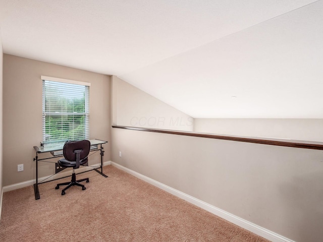 635 Aconite Ct, Blacklick, OH 43004 - photo 17