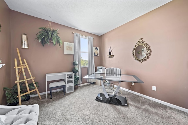 336 Raccoon Ave, Johnstown, OH 43031 - photo 14