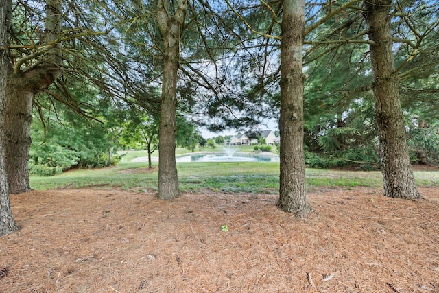11210 Milnor Rd, Pickerington, OH 43147 - photo 12