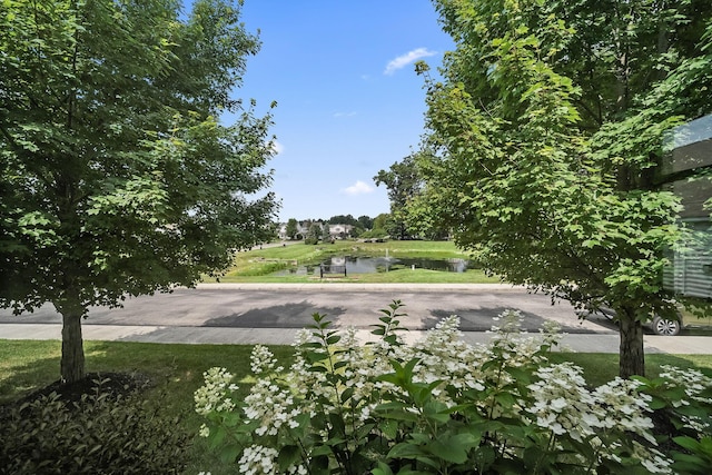 6244 Maple Glen Dr, Columbus, OH 43230 - photo 19