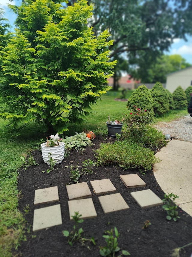 239 S Franklin St, Delaware, OH 43015 - photo 58