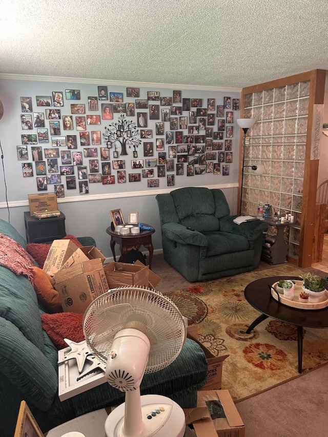 6942 Bartlett Rd, Reynoldsburg, OH 43068 - carpeted living area featuring a textured ceiling and ornamental molding