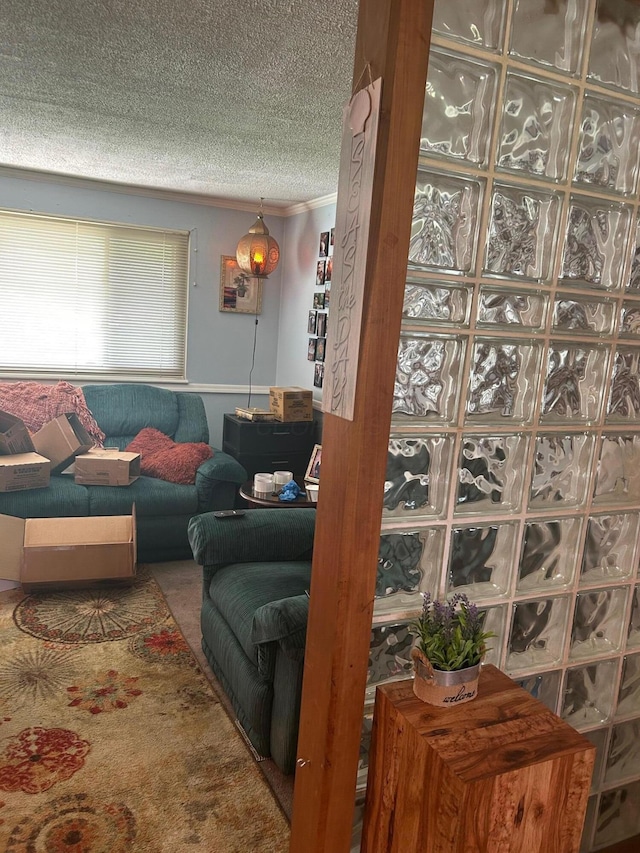 6942 Bartlett Rd, Reynoldsburg, OH 43068 - living room featuring a textured ceiling and carpet flooring