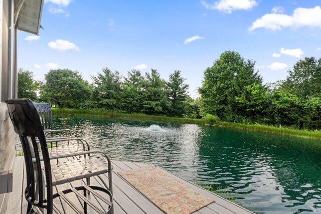 12907 Woodtown Rd, Galena, OH 43021 - photo 102