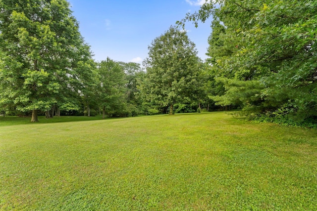 12907 Woodtown Rd, Galena, OH 43021 - photo 108