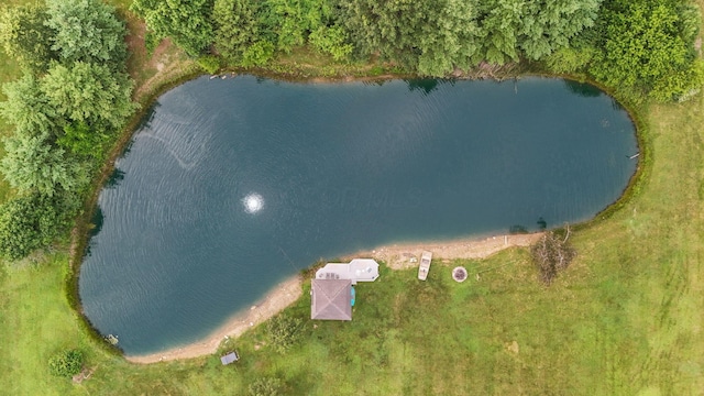 12907 Woodtown Rd, Galena, OH 43021 - photo 111