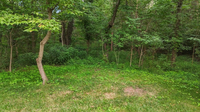12907 Woodtown Rd, Galena, OH 43021 - photo 113