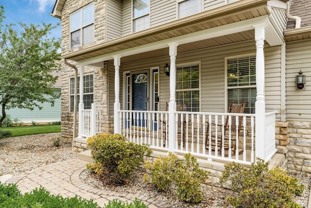 265 Daventry Ct, Canal Winchester, OH 43110 - photo 4