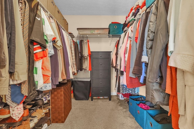 8512 Squad Dr, Galloway, OH 43119 - walk in closet with carpet