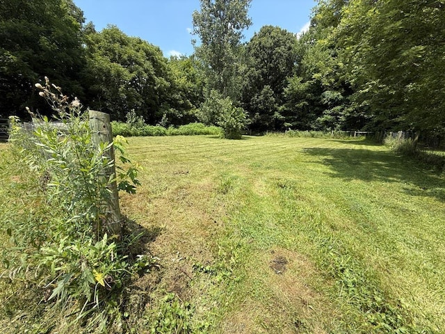 206 William St, Fulton, OH 43321 - view of grassy yard with a view of trees