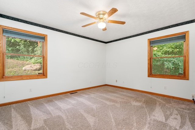1169 State Route 97 E, Bellville, OH 44813 - photo 24