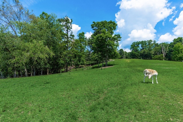 58501 US Highway 50, Mcarthur, OH 45651 - photo 37