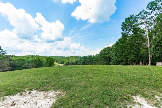 58501 US Highway 50, Mcarthur, OH 45651 - photo 41