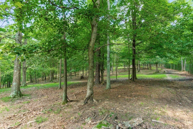 58501 US Highway 50, Mcarthur, OH 45651 - photo 44