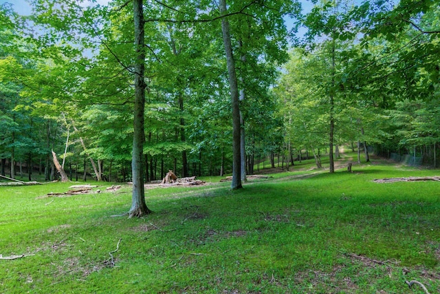 58501 US Highway 50, Mcarthur, OH 45651 - photo 47