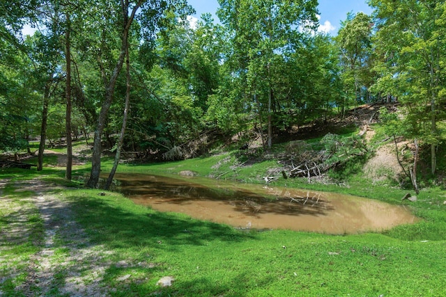 58501 US Highway 50, Mcarthur, OH 45651 - photo 48
