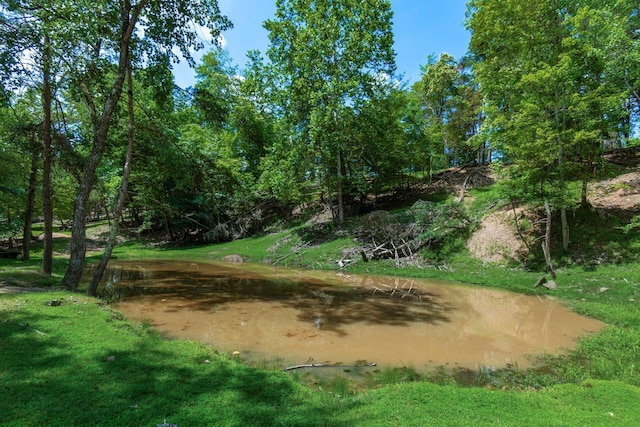 58501 US Highway 50, Mcarthur, OH 45651 - photo 49