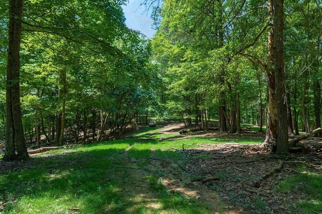 58501 US Highway 50, Mcarthur, OH 45651 - photo 51