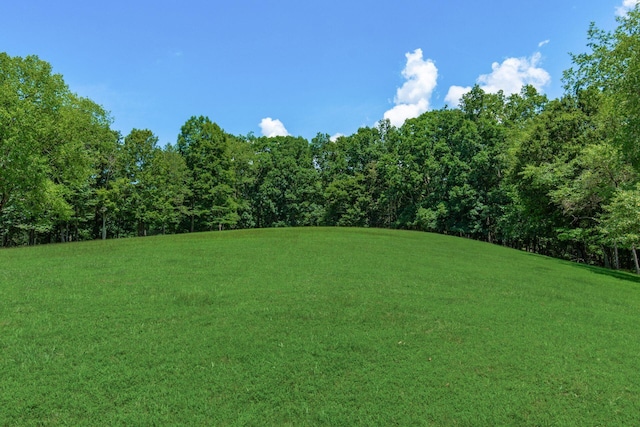 58501 US Highway 50, Mcarthur, OH 45651 - photo 53