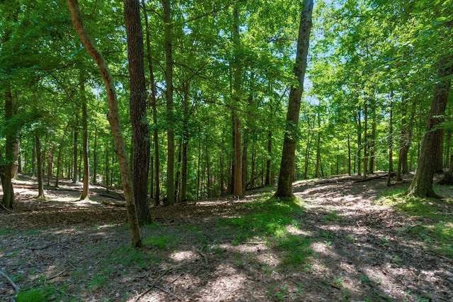 58501 US Highway 50, Mcarthur, OH 45651 - photo 54