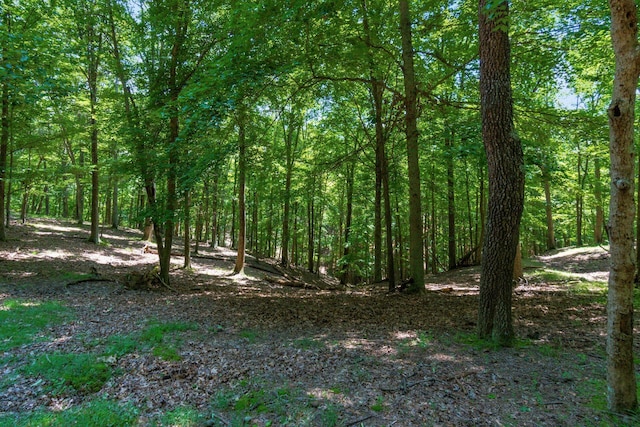 58501 US Highway 50, Mcarthur, OH 45651 - photo 55