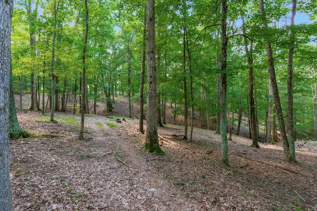 58501 US Highway 50, Mcarthur, OH 45651 - photo 56