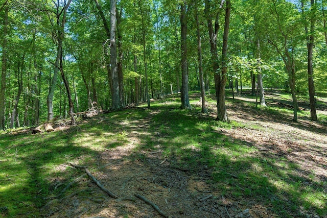 58501 US Highway 50, Mcarthur, OH 45651 - photo 57