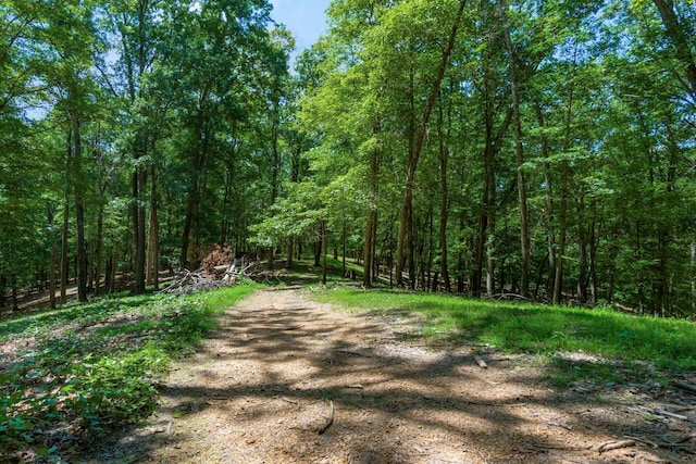 58501 US Highway 50, Mcarthur, OH 45651 - photo 59