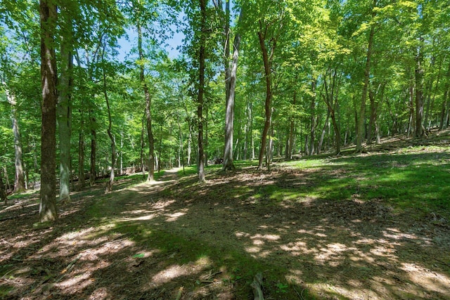 58501 US Highway 50, Mcarthur, OH 45651 - photo 60