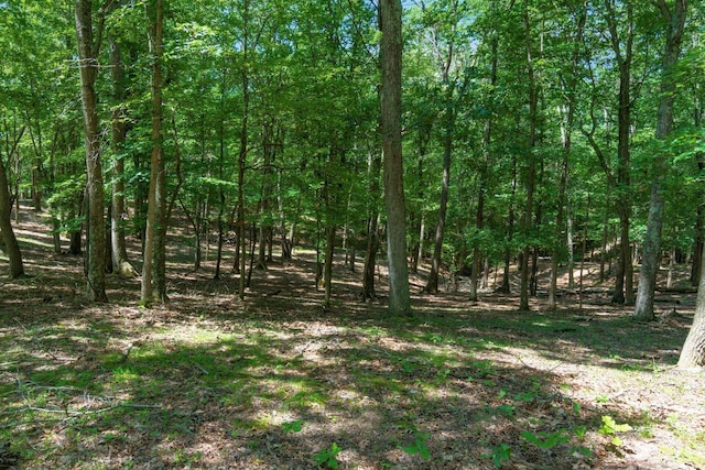 58501 US Highway 50, Mcarthur, OH 45651 - photo 61